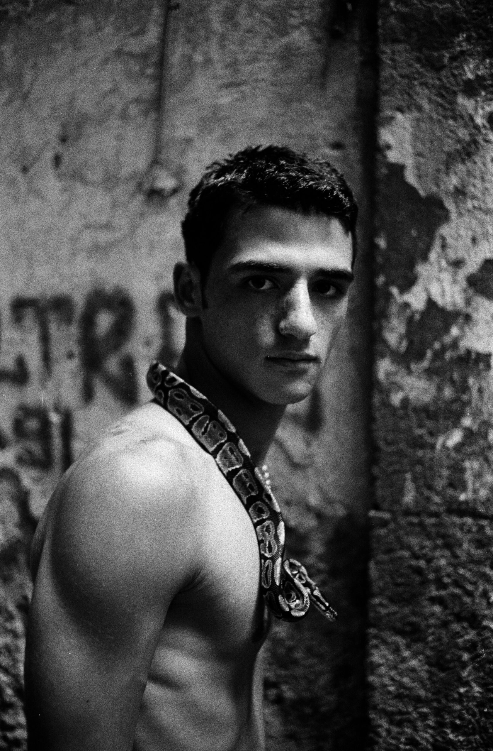 SPINA edizione speciale - 30 copie - immagine 10