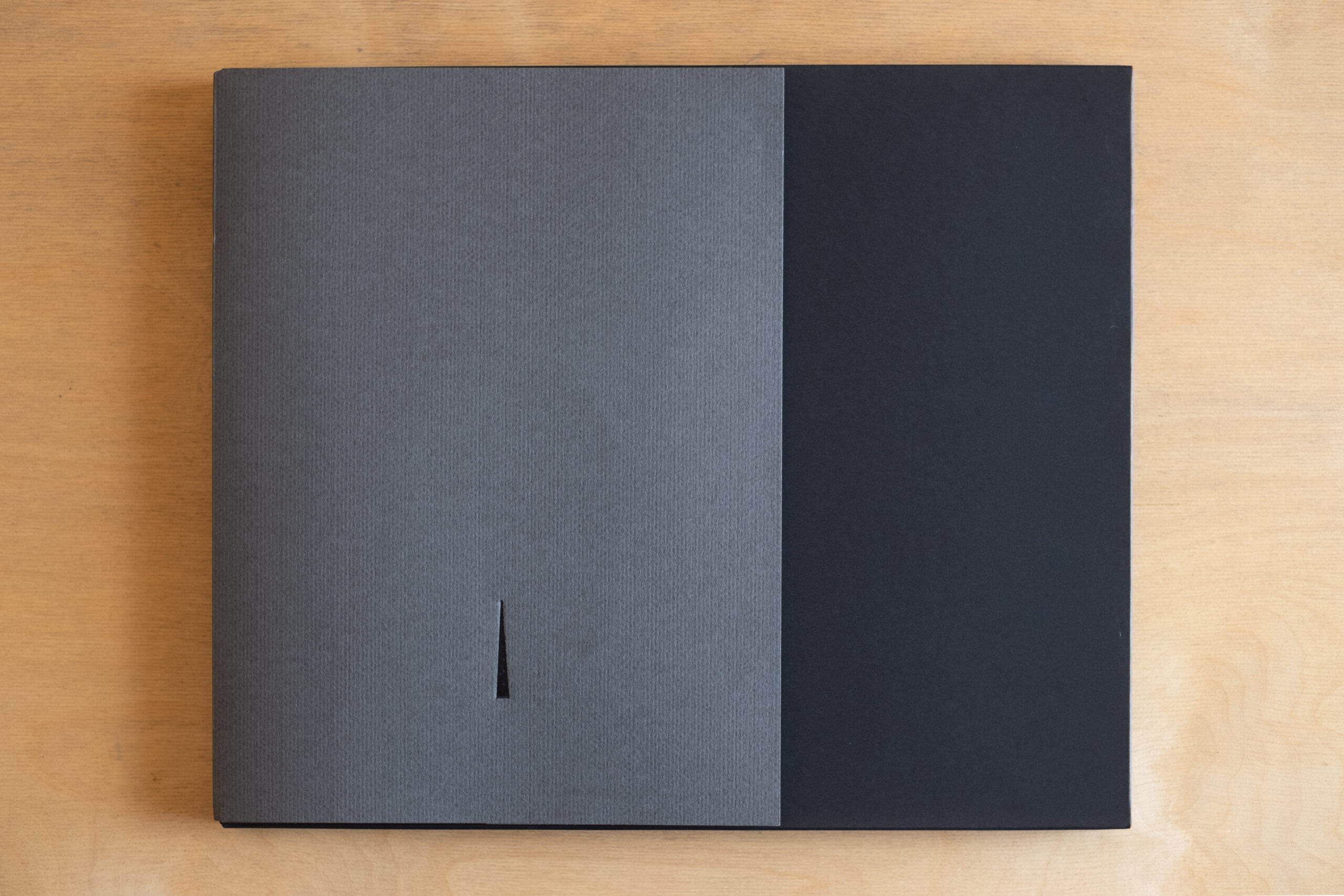 SPINA edizione speciale - 30 copie